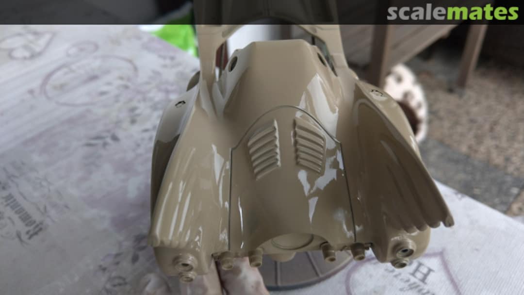 View album, image #9 View album, image #9