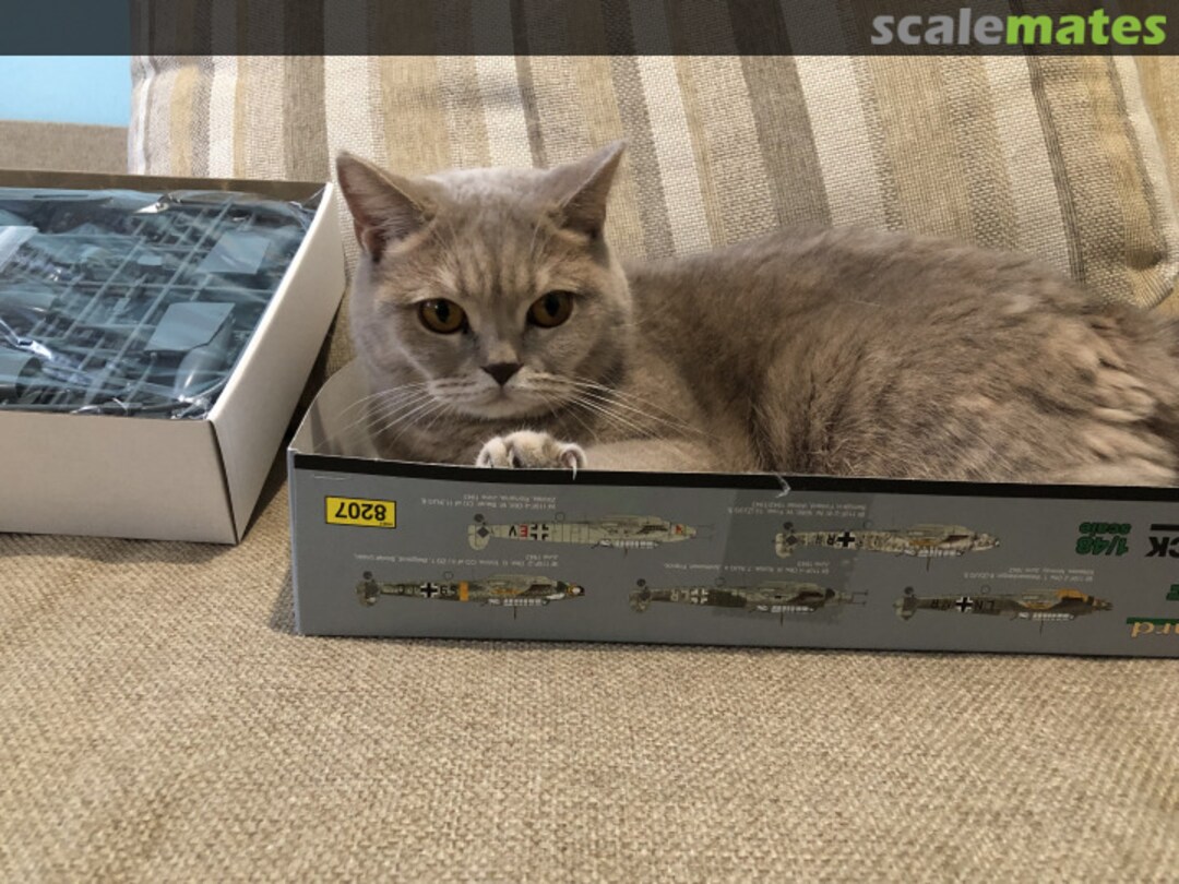 View album, image #1 View album, image #1