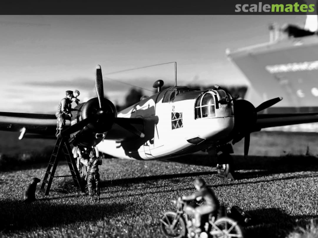 View album, image #24 View album, image #24