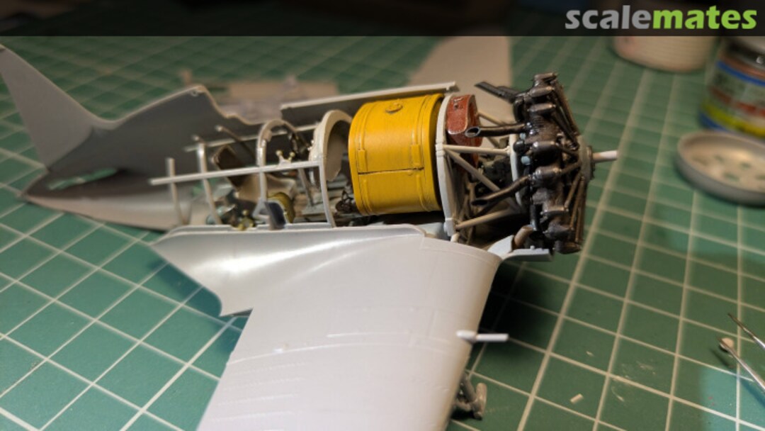 View album, image #1