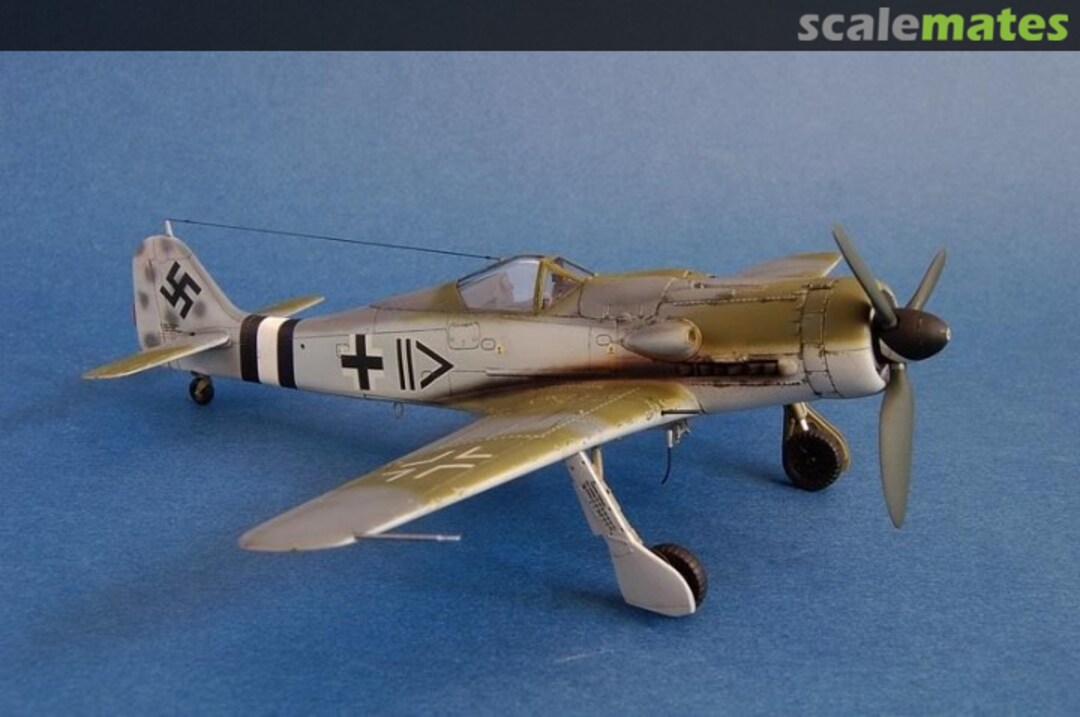 View album, image #1 View album, image #1