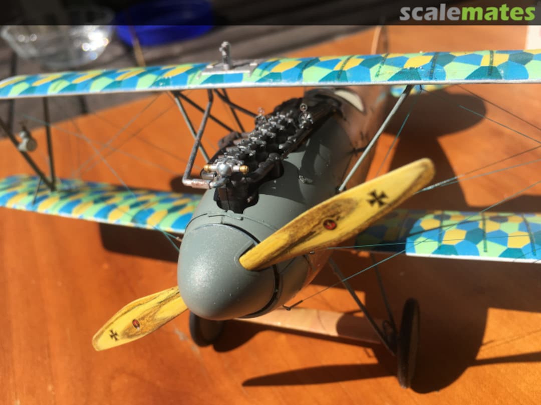 View album, image #25