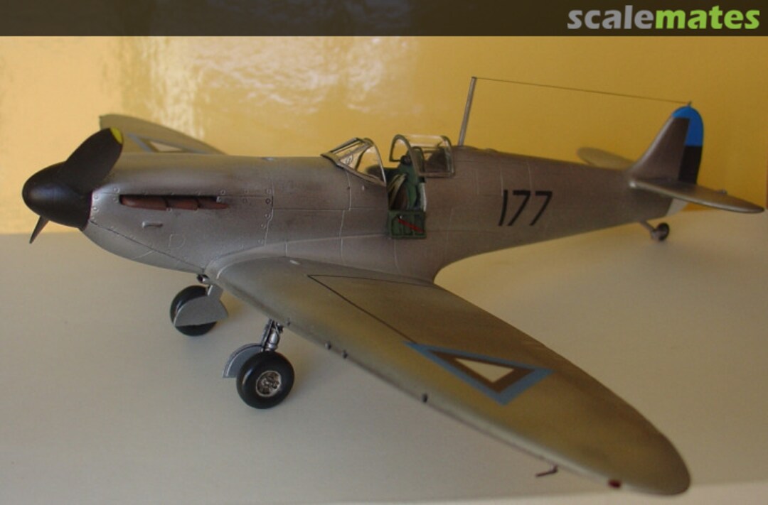 View album, image #1 View album, image #1