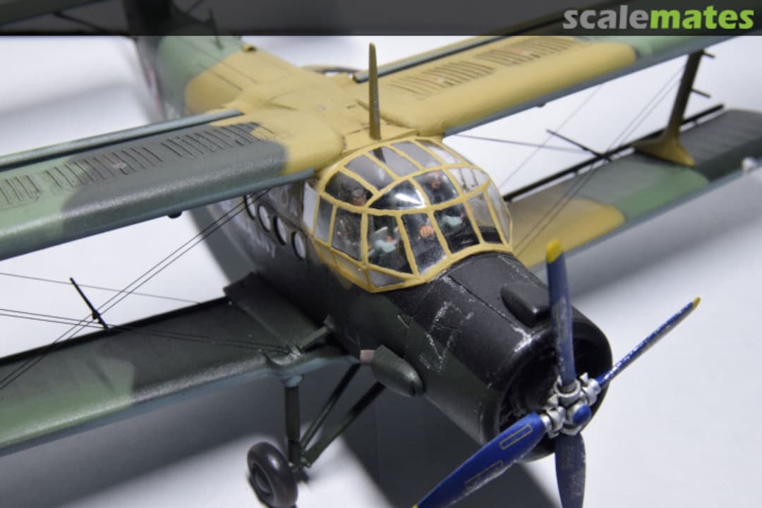 View album, image #1 View album, image #1