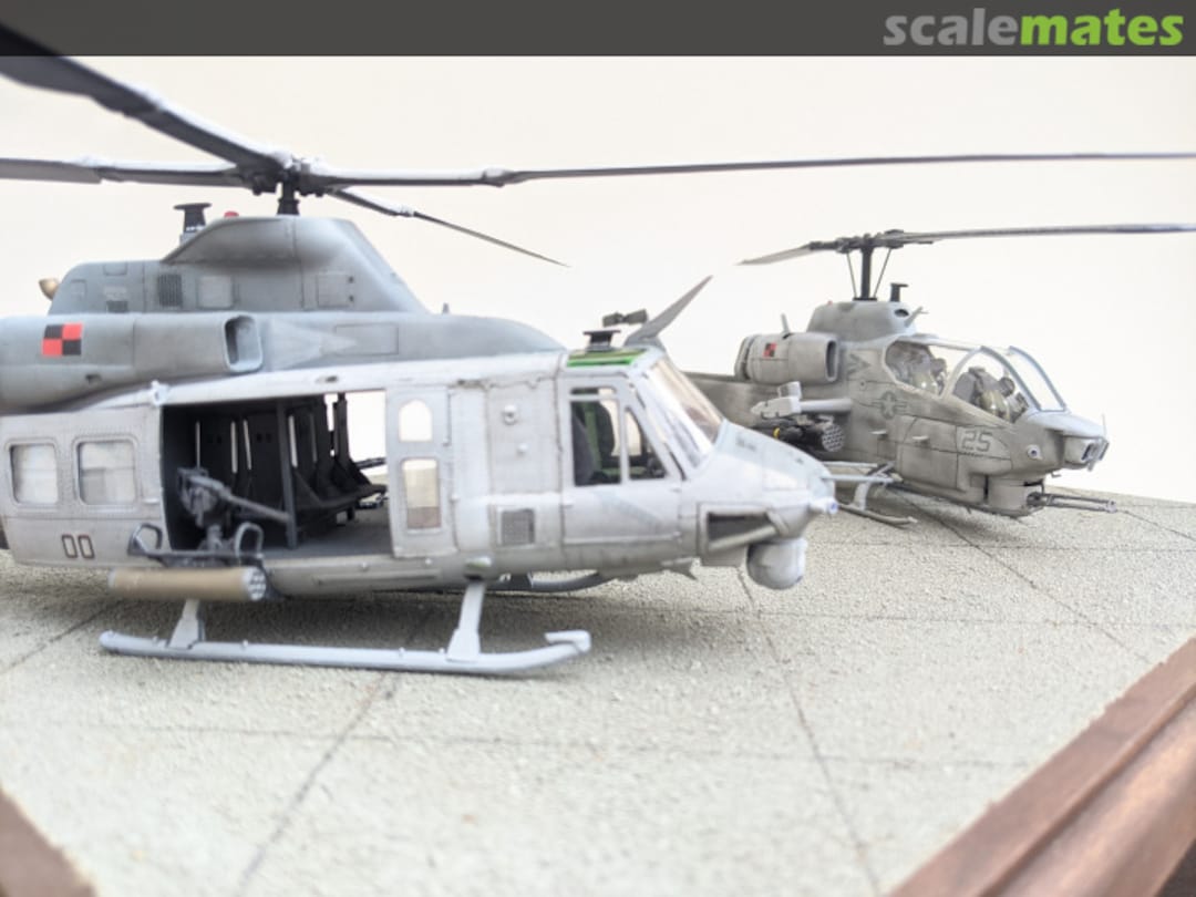 View album, image #1 View album, image #1