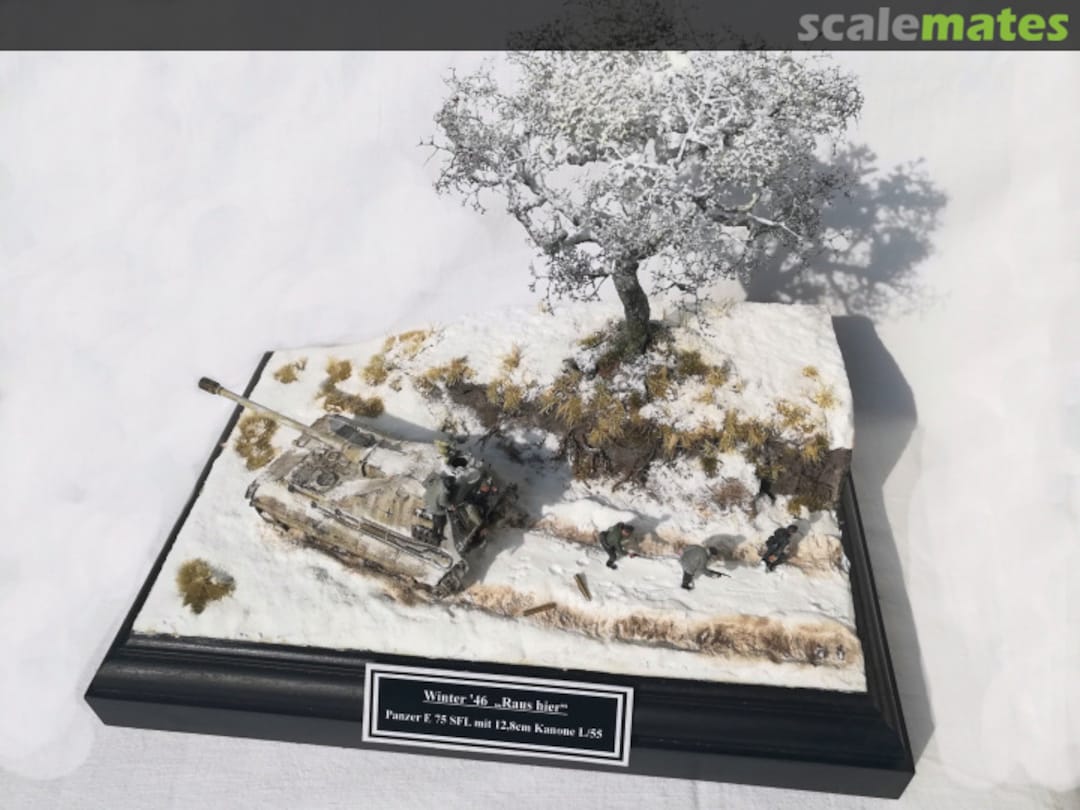 View album, image #1 View album, image #1