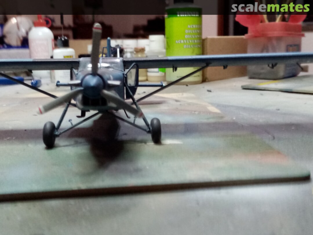 View album, image #1 View album, image #1