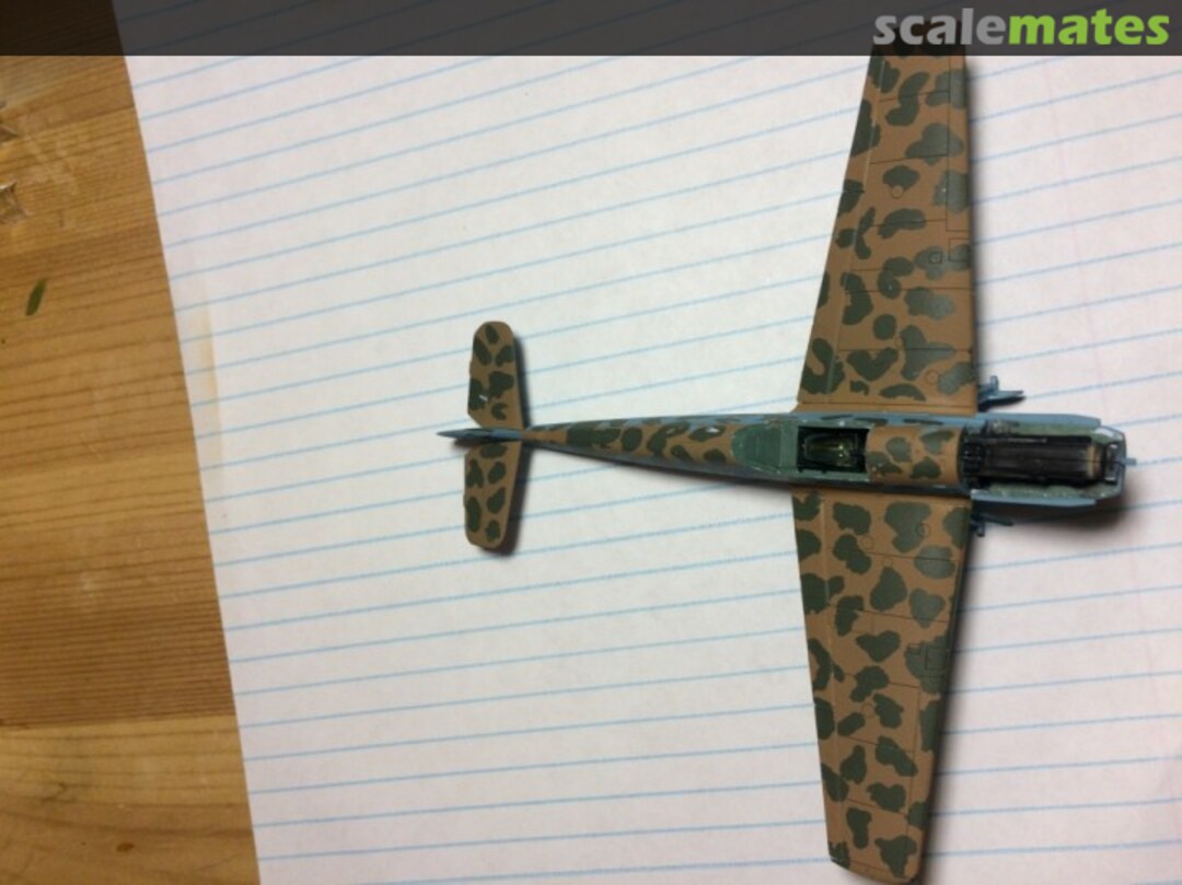 View album, image #1 View album, image #1