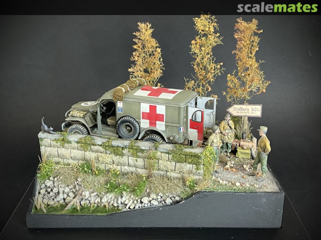 View album, image #20 View album, image #20