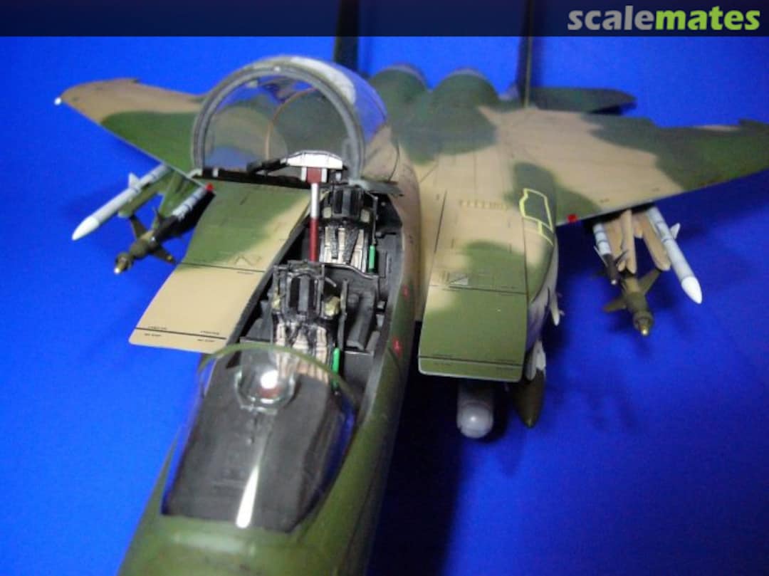 View album, image #1 View album, image #1