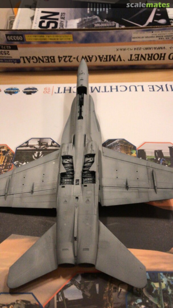 View album, image #1