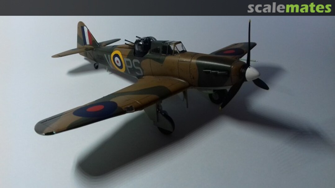 View album, image #1 View album, image #1