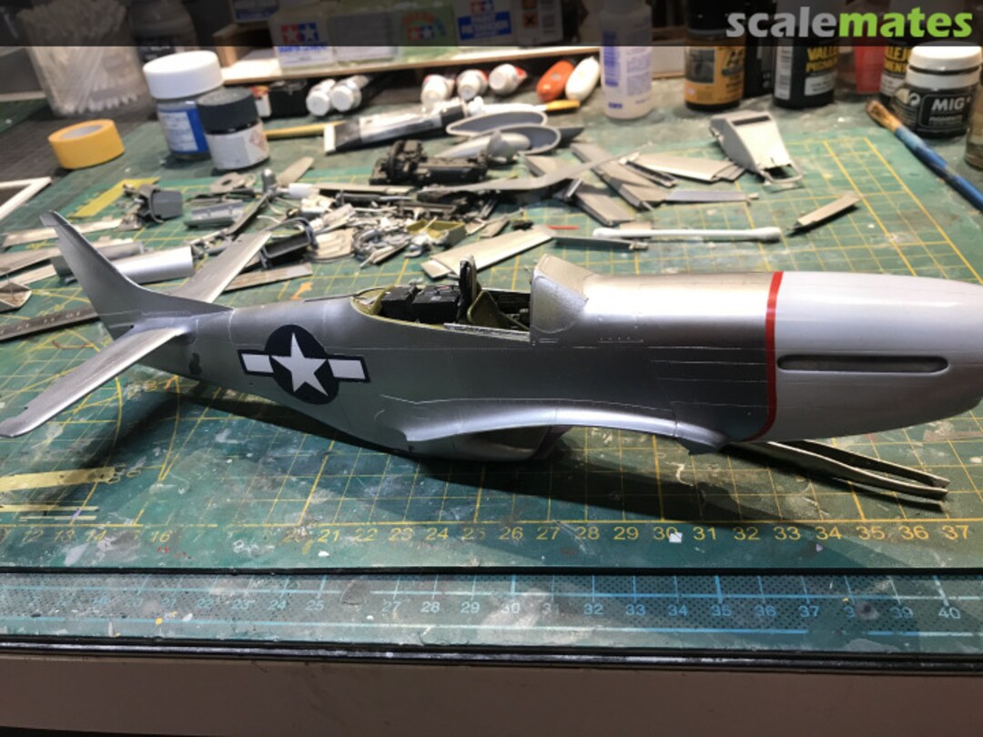 View album, image #24