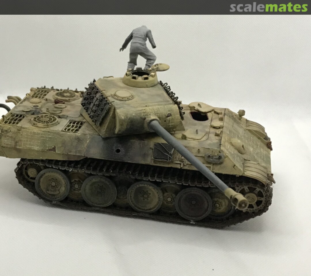 View album, image #1 View album, image #1