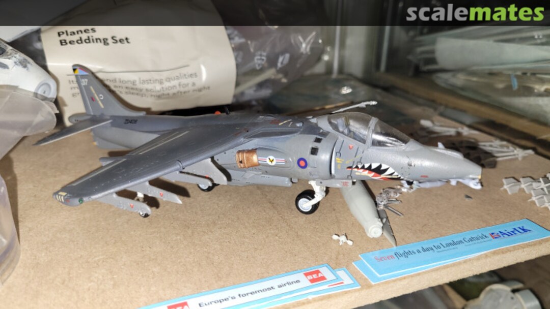 View album, image #1 View album, image #1