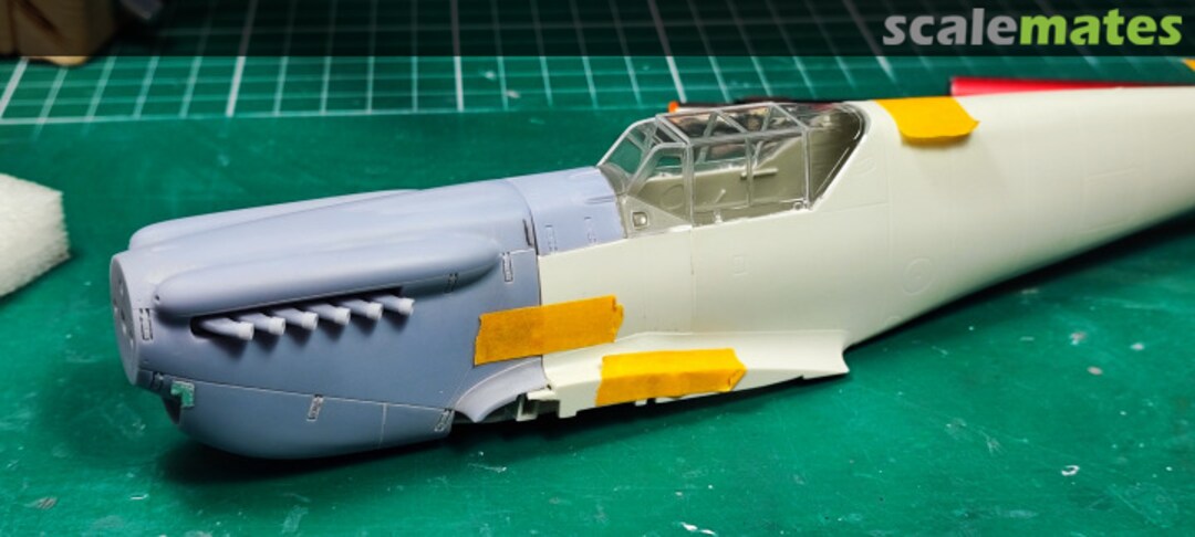 View album, image #4