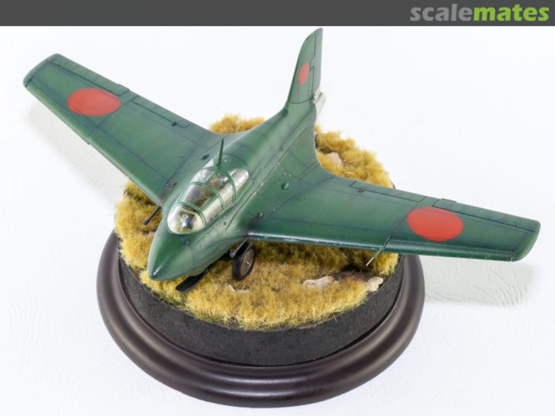 View album, image #8 View album, image #8