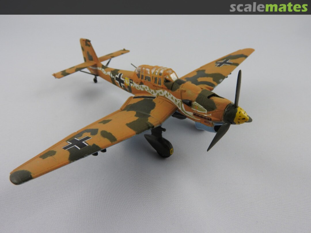 View album, image #1 View album, image #1