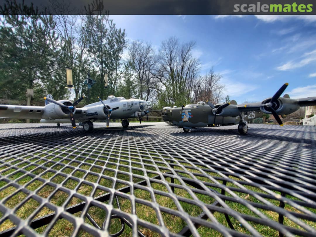 View album, image #1 View album, image #1