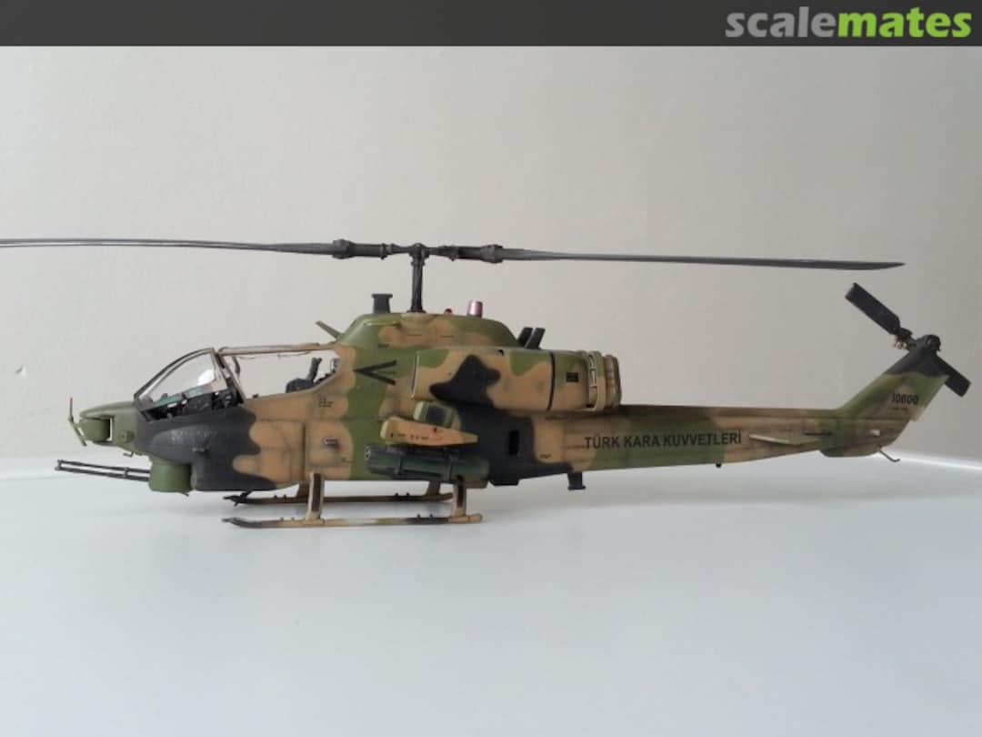 View album, image #3 View album, image #3