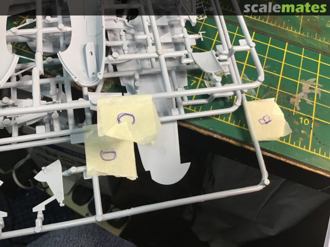 View album, image #1 View album, image #1