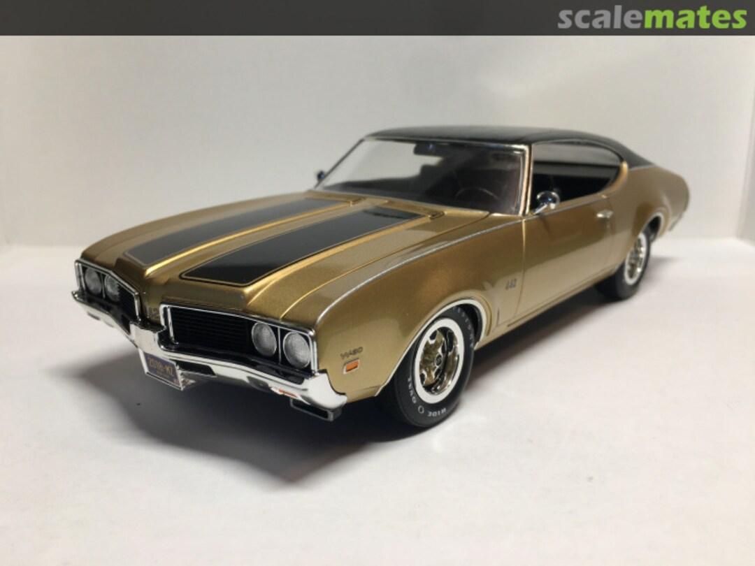 View album, image #1 View album, image #1