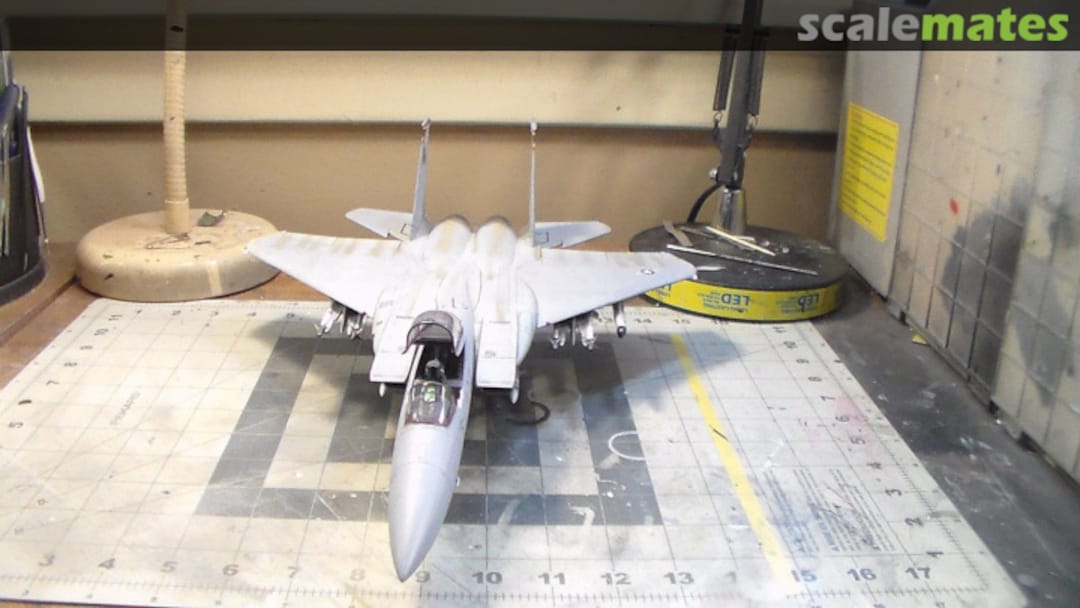 View album, image #1 View album, image #1