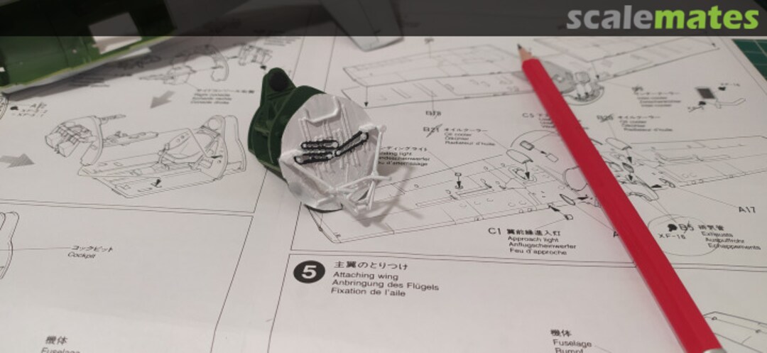 View album, image #1