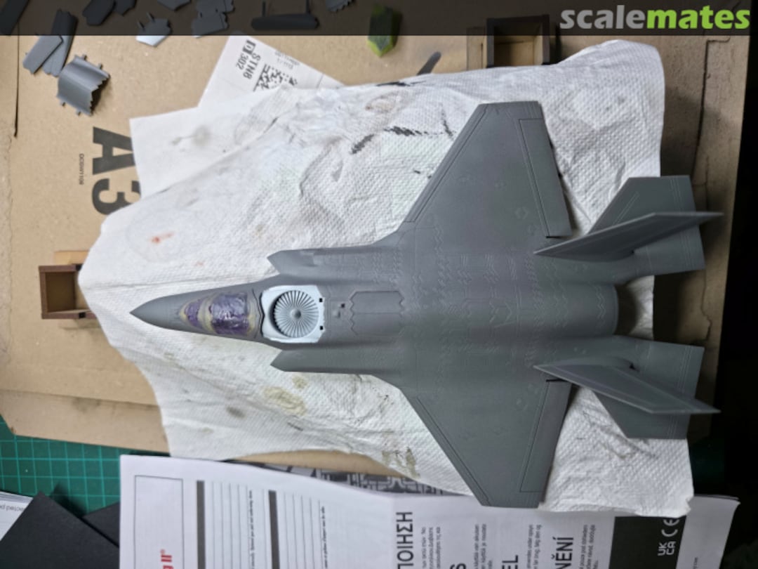 View album, image #1 View album, image #1