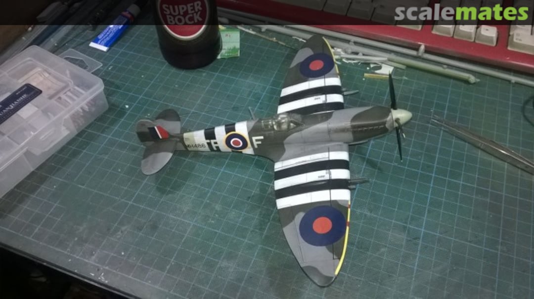 View album, image #1 View album, image #1