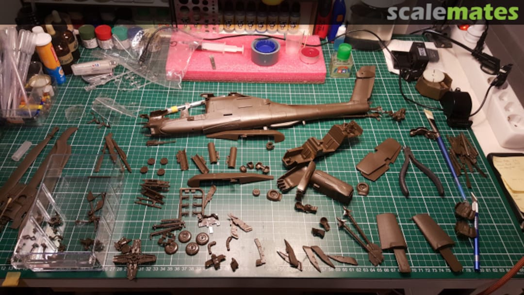 View album, image #1 View album, image #1