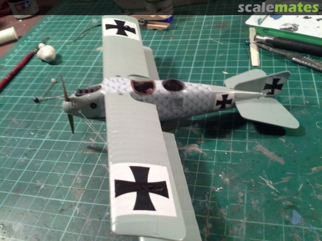 View album, image #1 View album, image #1