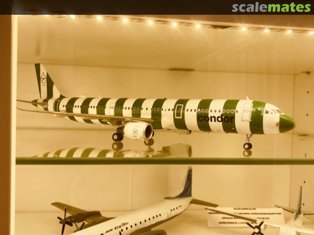 View album, image #1 View album, image #1