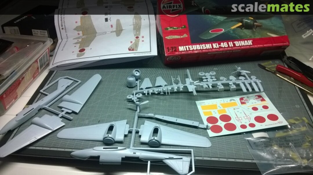 View album, image #1 View album, image #1