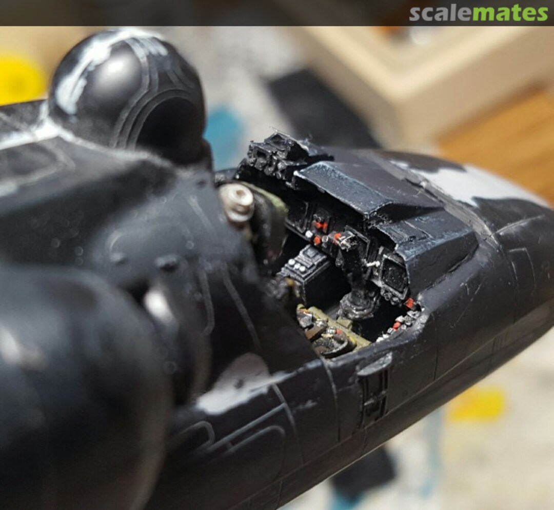 View album, image #1 View album, image #1