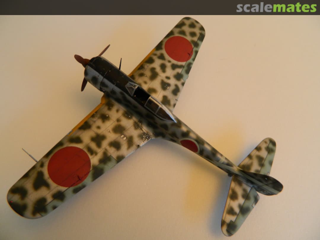 View album, image #1 View album, image #1