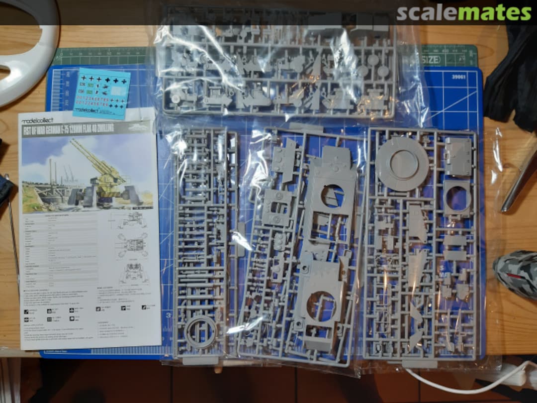 View album, image #1 View album, image #1