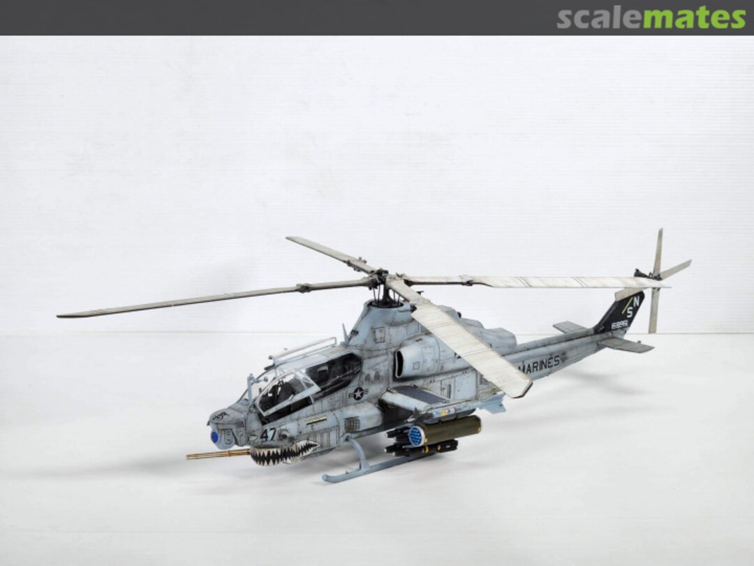 View album, image #1