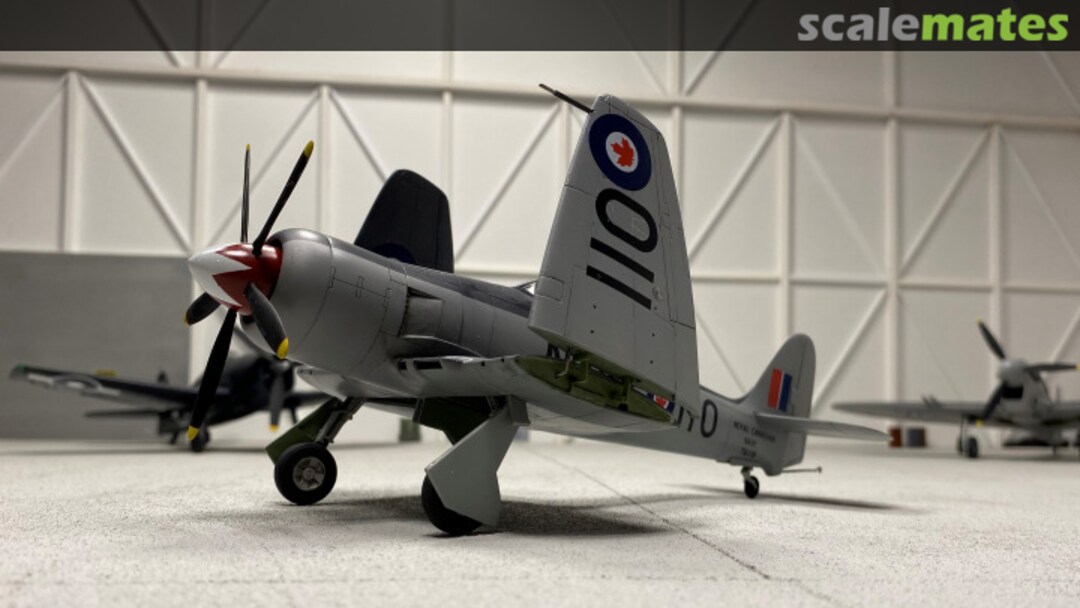 View album, image #7 View album, image #7