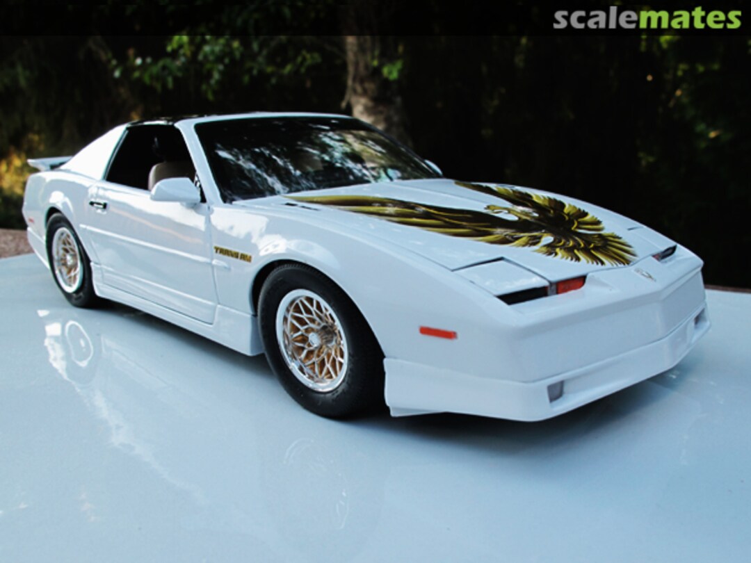 View album, image #1 View album, image #1