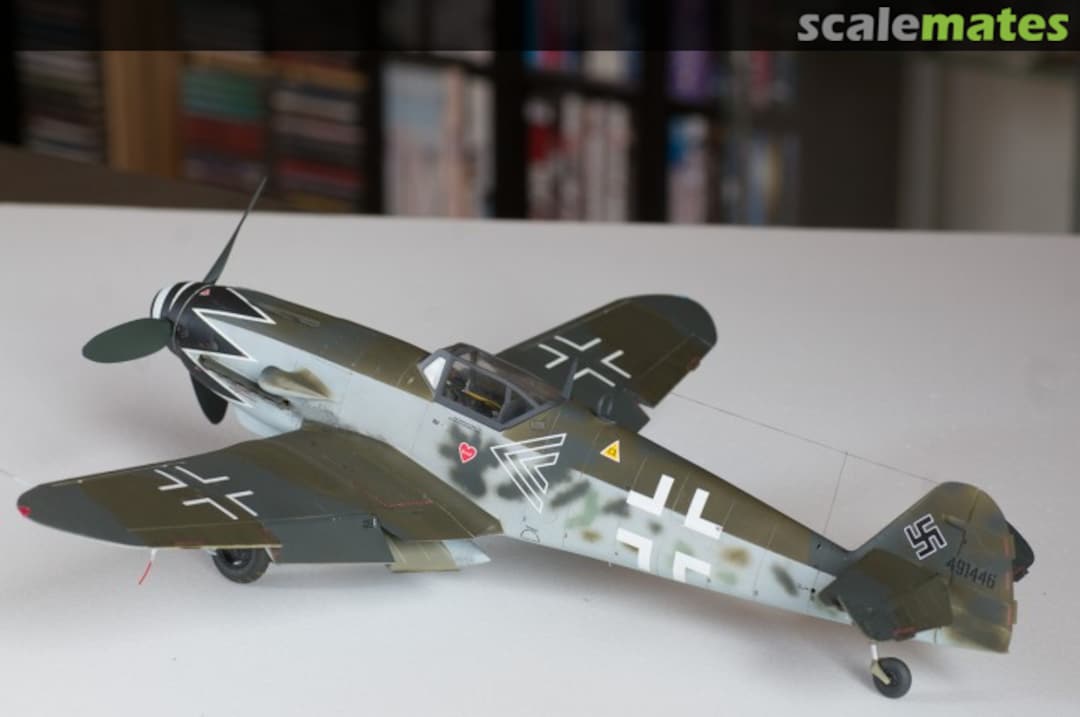 View album, image #1 View album, image #1