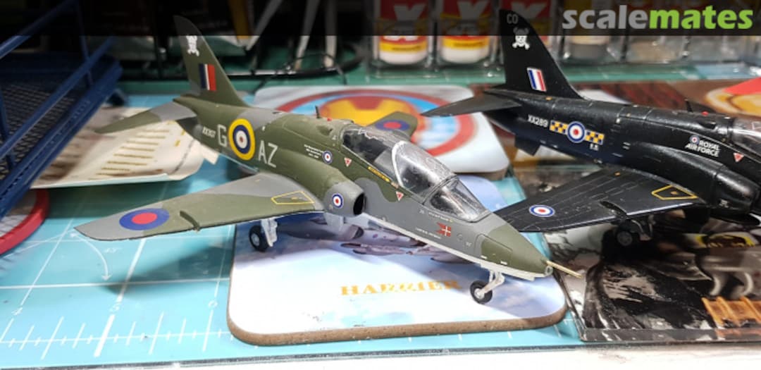 View album, image #6 View album, image #6