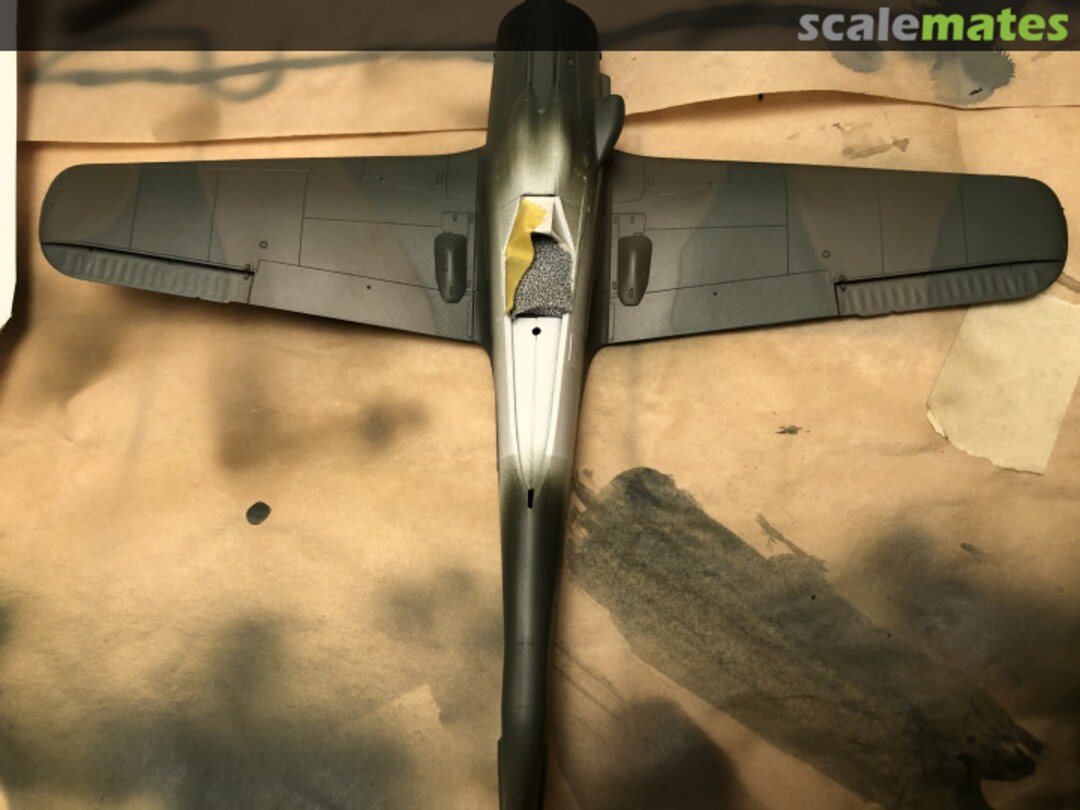 View album, image #1 View album, image #1