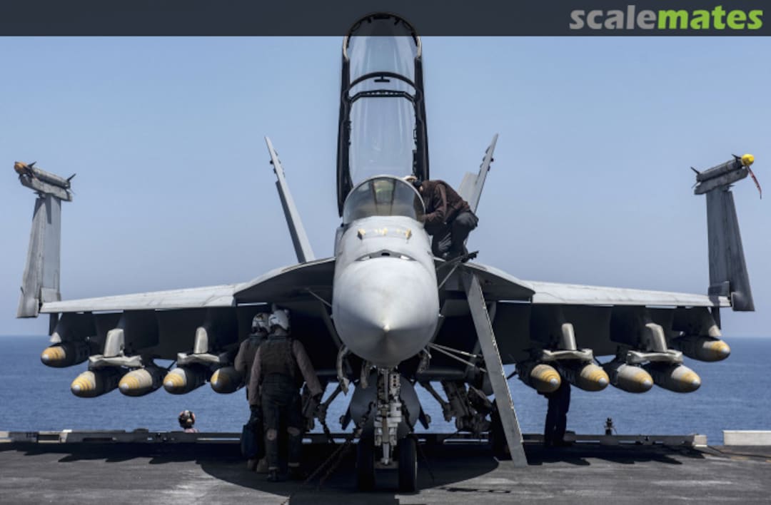 View album, image #3