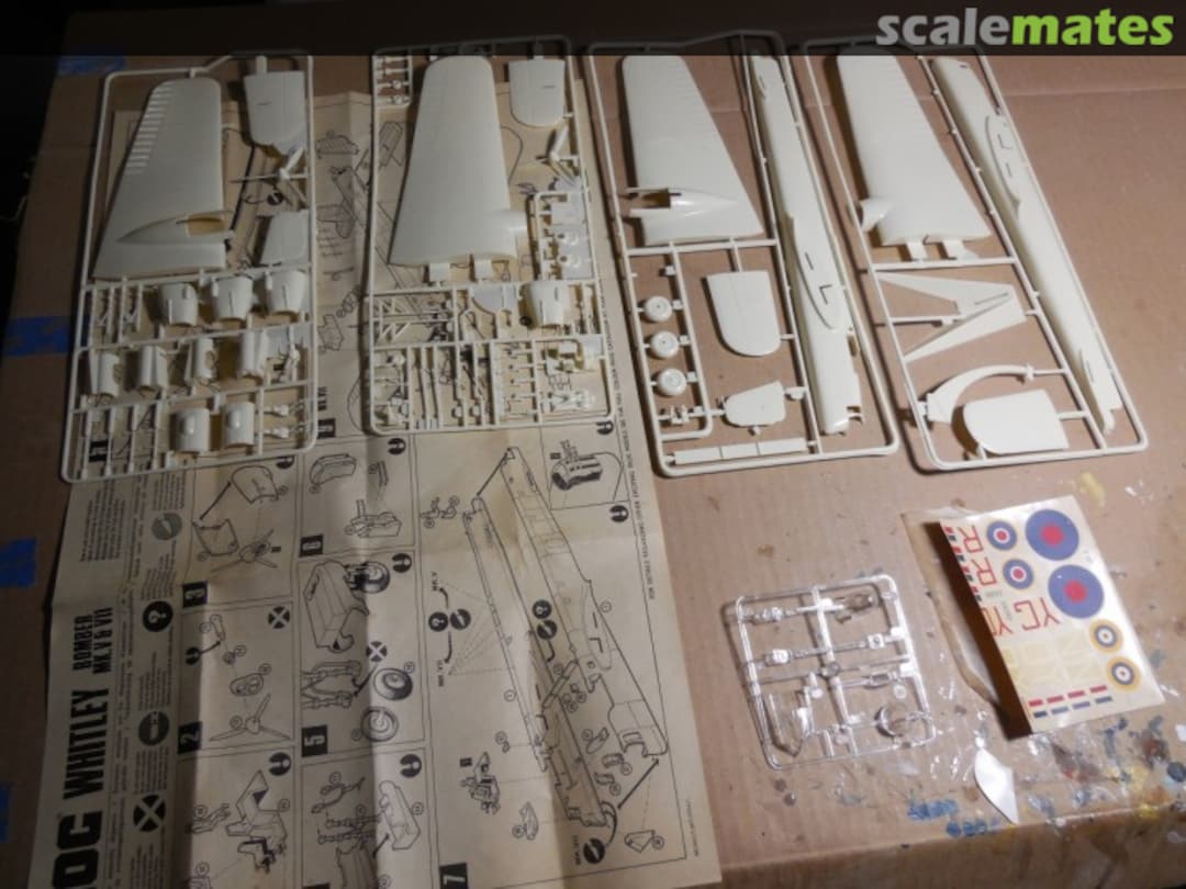 View album, image #1 View album, image #1