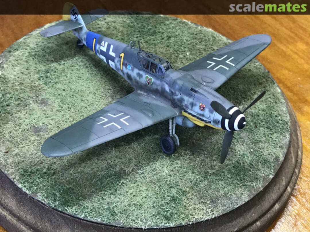 View album, image #1 View album, image #1