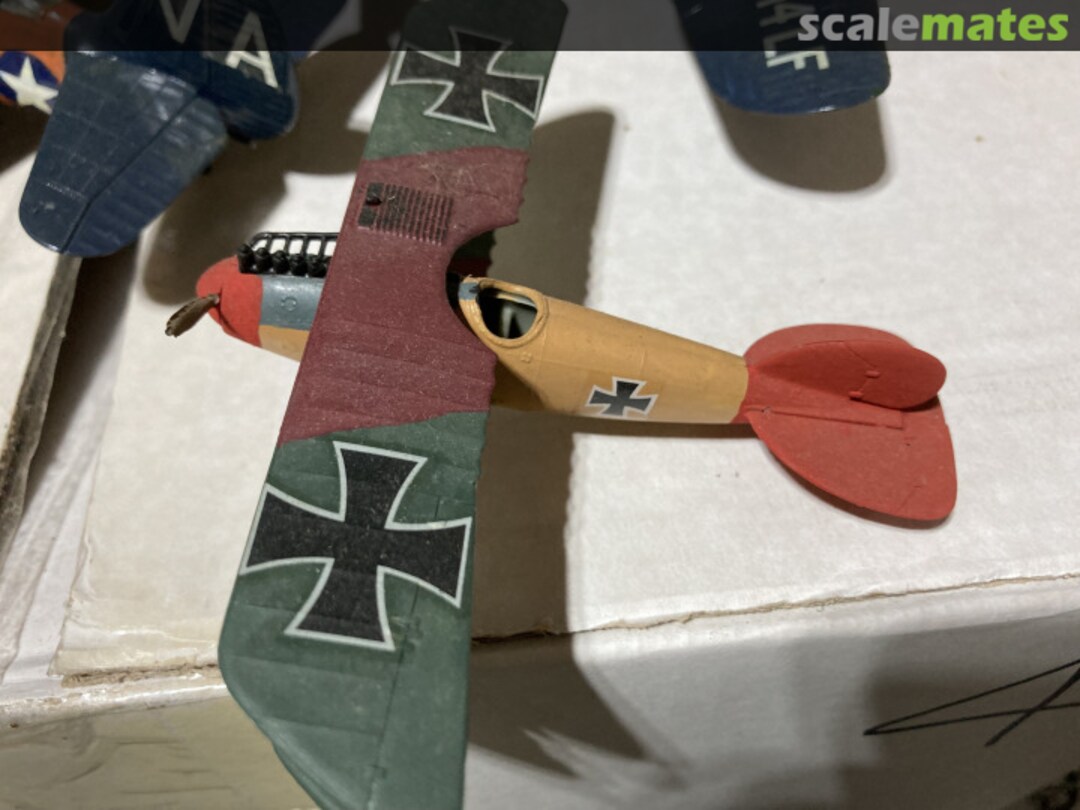 View album, image #1 View album, image #1