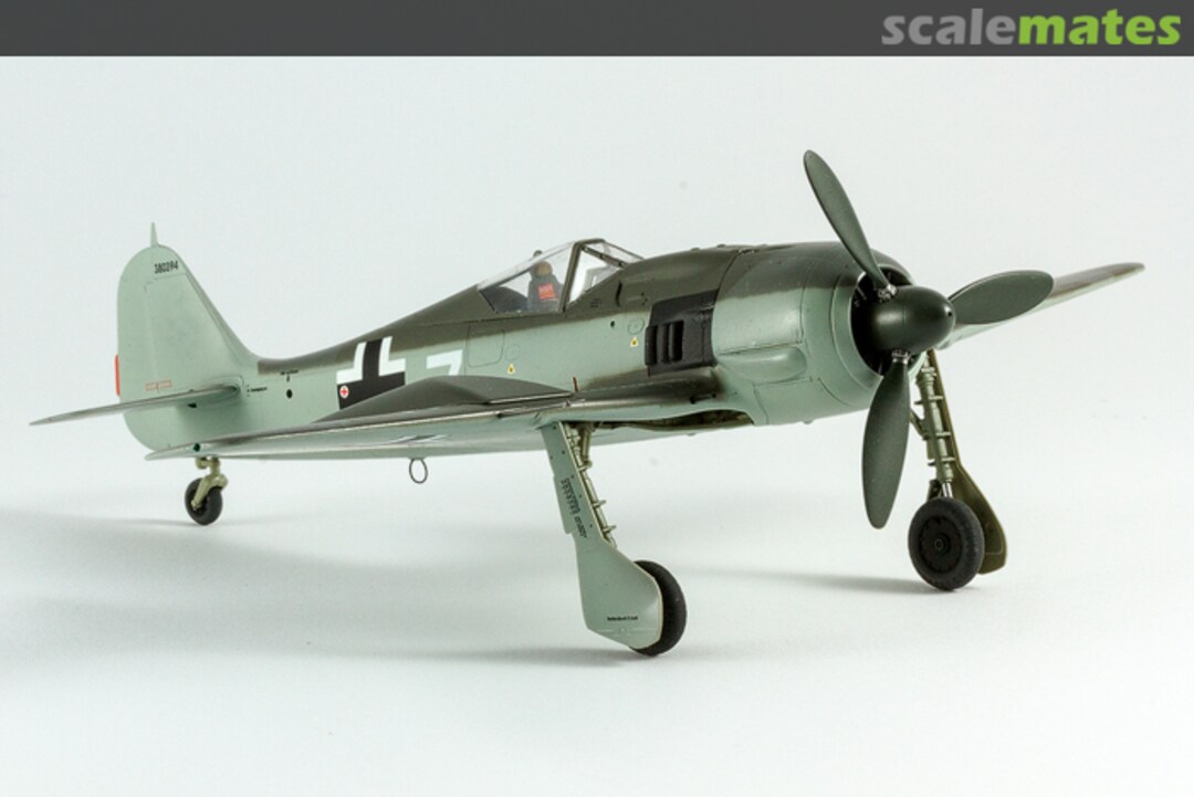 View album, image #1 View album, image #1