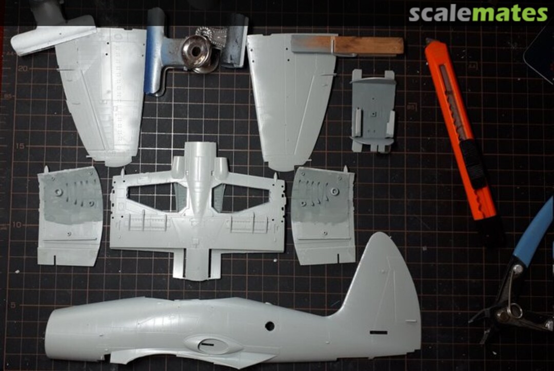 View album, image #1 View album, image #1