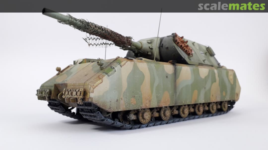 View album, image #1